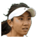 Y. Yuan